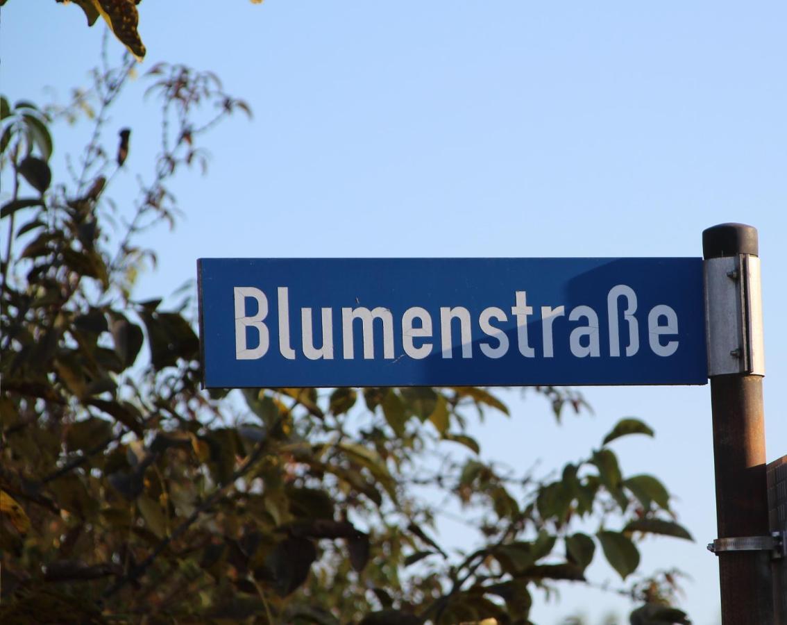 Ferienwohnung Auf Der Blumenstrasse 奈特匋 外观 照片